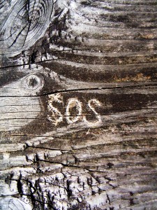 Weekend_with_James_Prigl_019